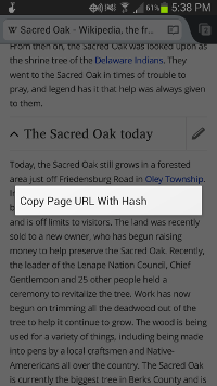 Copy URL With Hash in Firefox on Android